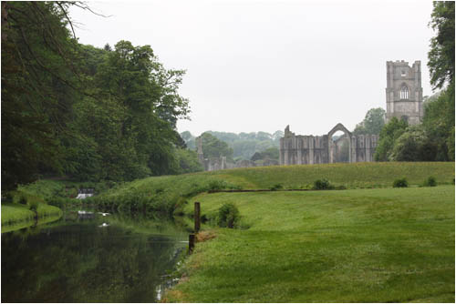 Flu und Wiese / River and meadow, Fountains Abbey