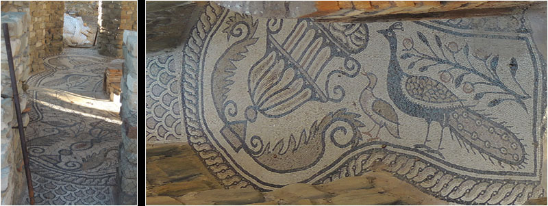 Teil eines Mosaiks in der Basilika. Der berühmte Pfau. / Part of a mosaic in the basilica. The famous peacock.