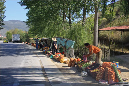 Erzeugnisse im Strassenverkauf nah an der Grenze zu Griechenland / Produce on sale by the roadside near the border to Greece