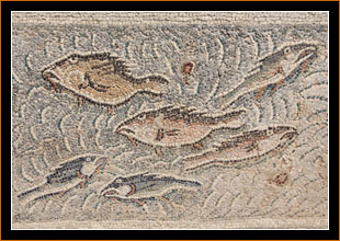 Fischmosaik / Fish mosaic