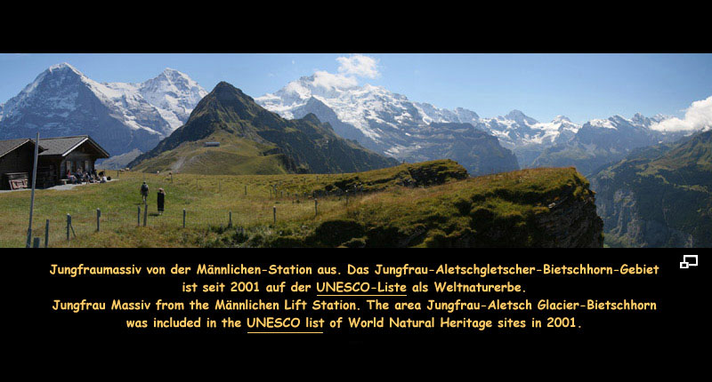 Anklicken zum Vergrern / Click for larger picture. Jungfraumassiv 8.2006