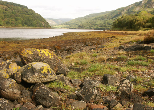Anklicken zum Vergrößern / Click for larger picture. Loch Feochan 17.9.04 near Oban