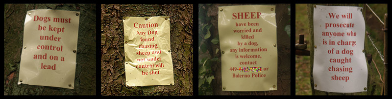 Warnings near Malleny Gardens 29.9.04