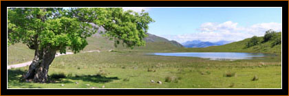 Lochan Doire a Bhraghaid, Schottland / Lochan Doire a Bhraghaid, Scotland