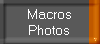 Macros
Photos